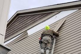 Best Vinyl Siding Installation  in Hurlburt Field, FL